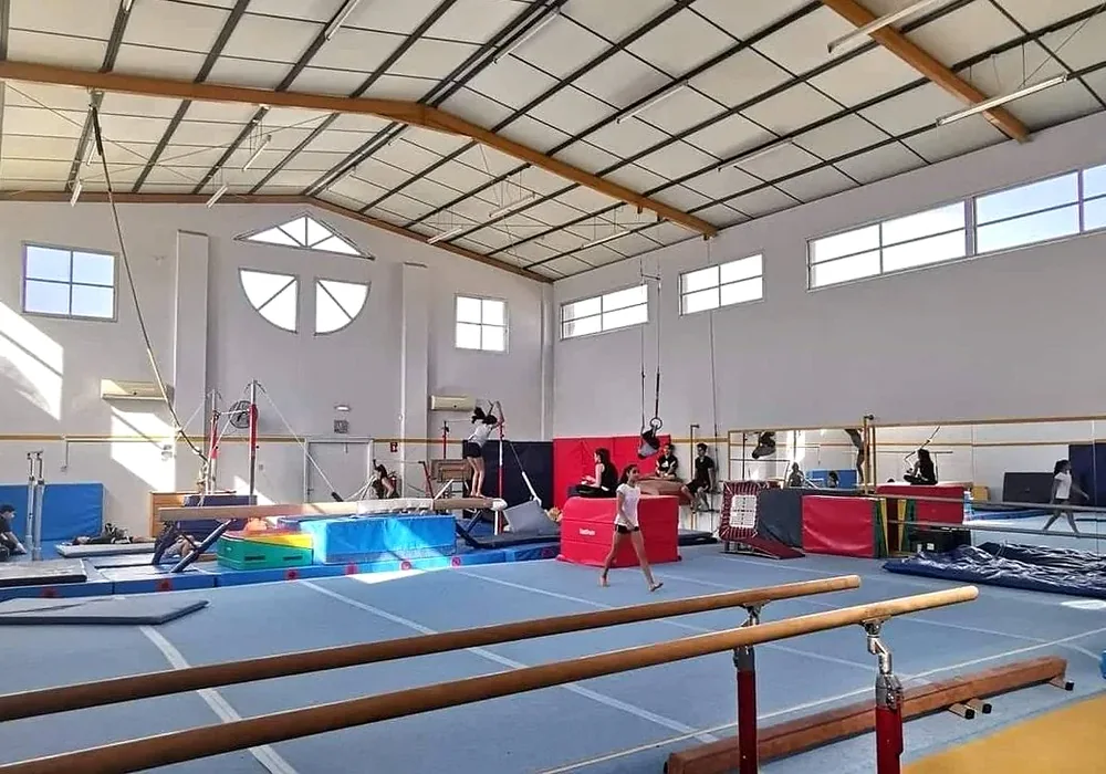 Πλήρης αίθουσα ενόργανης γυμναστικής του Βικέντια με επαγγελματικό εξοπλισμό